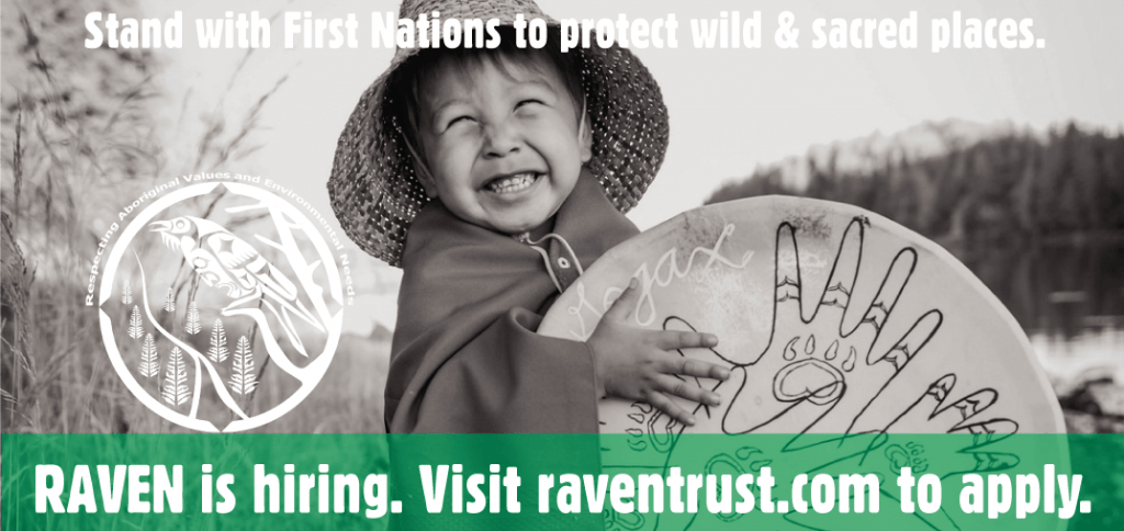 Raven Application RAVEN is hiring! - Raven Trust