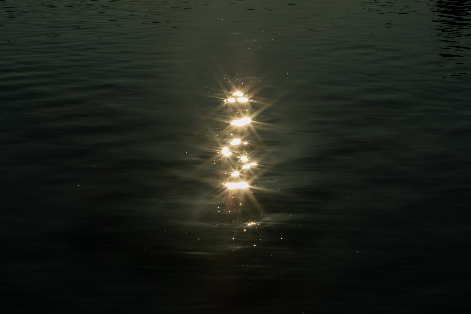 Join us for our #FestivalAfloat in Montreal for Wet’suwet’en Nation!