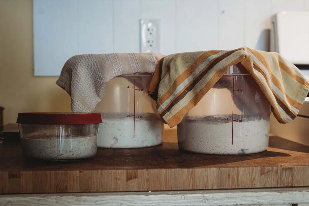 Big clear containers of dough rest with cloths overtop on a wooden countertop
