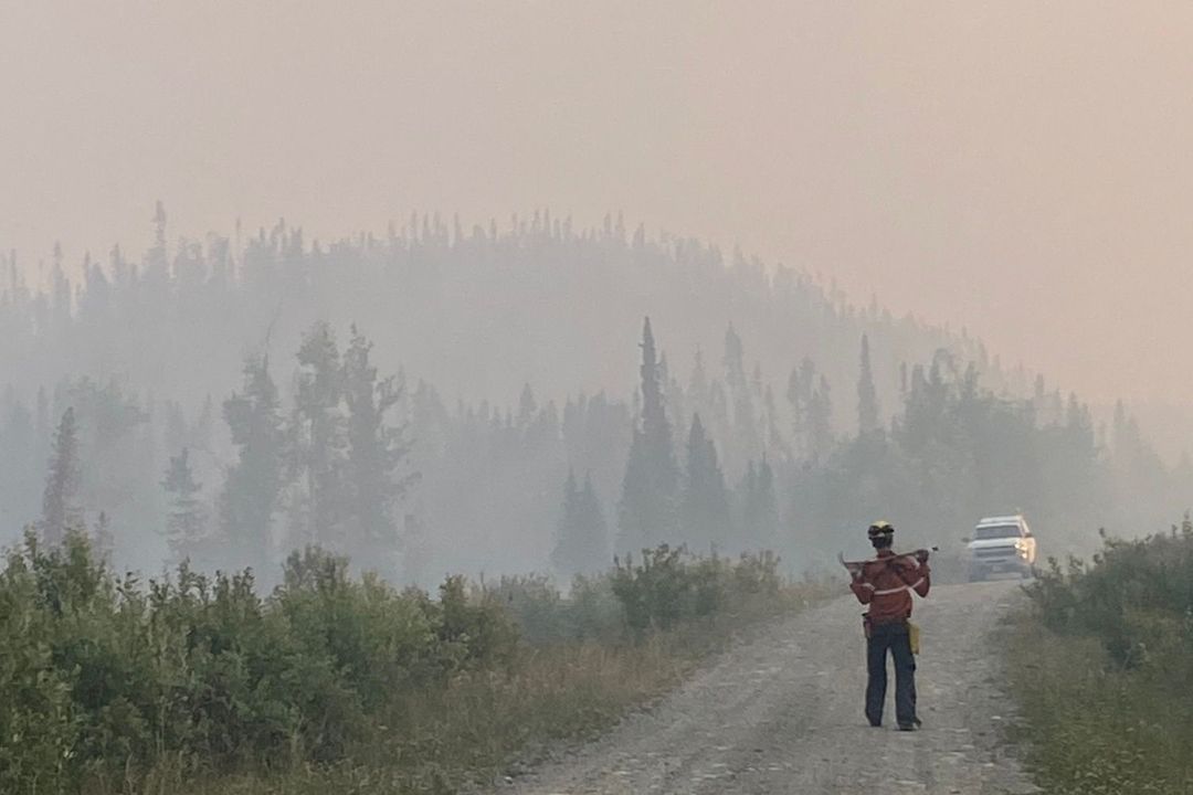 The Paradox of Fire: Balancing regeneration and risk