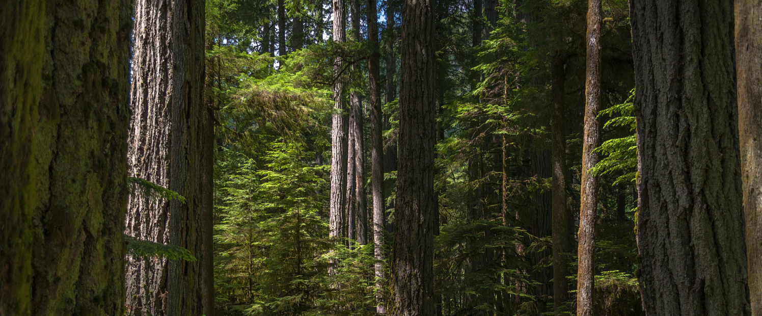 Campaign Highlights: The Wins, New Beginnings, and Next Steps