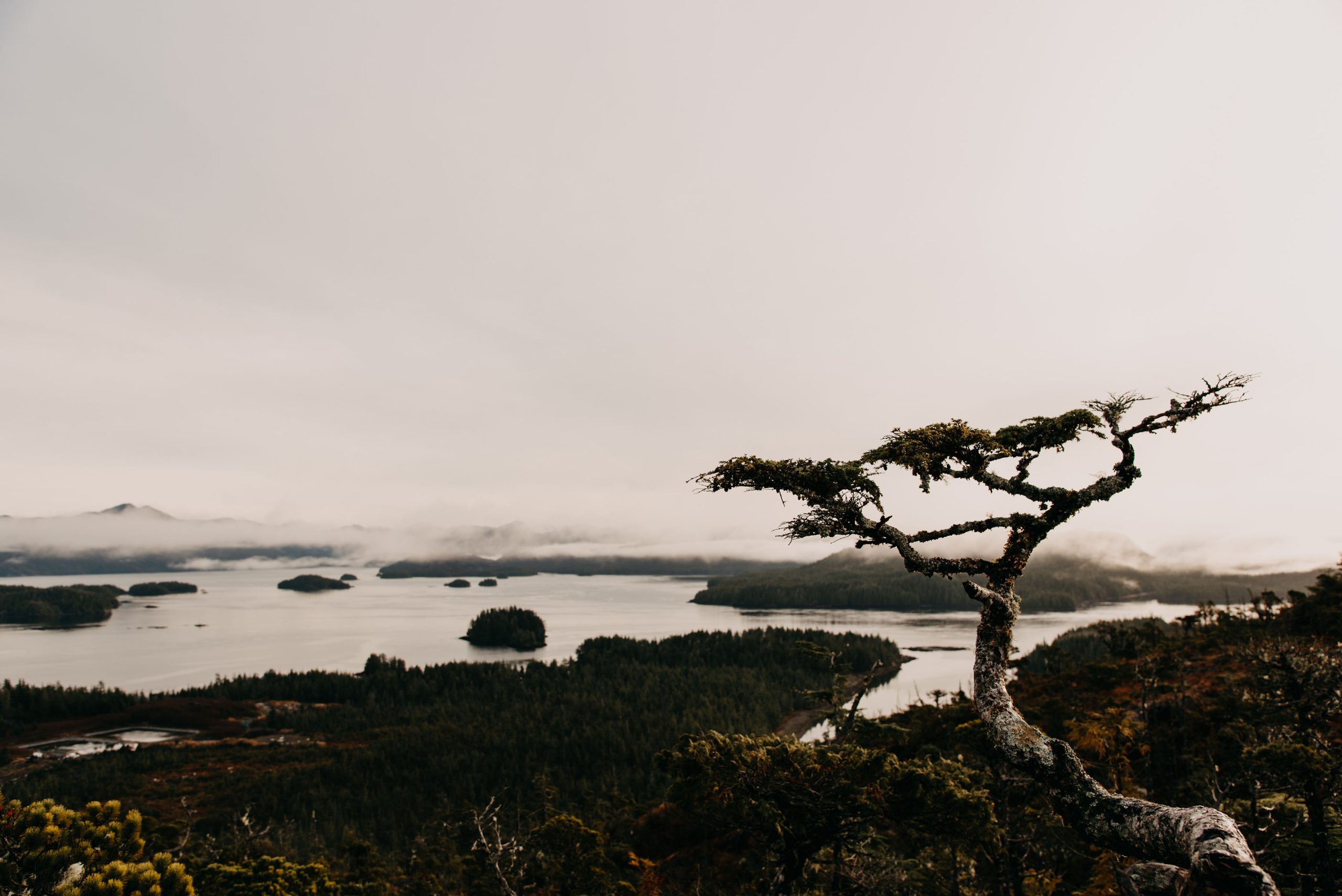 What’s Really at Stake? The Possible Outcomes and Implications for Indigenous Rights in B.C. and Canada