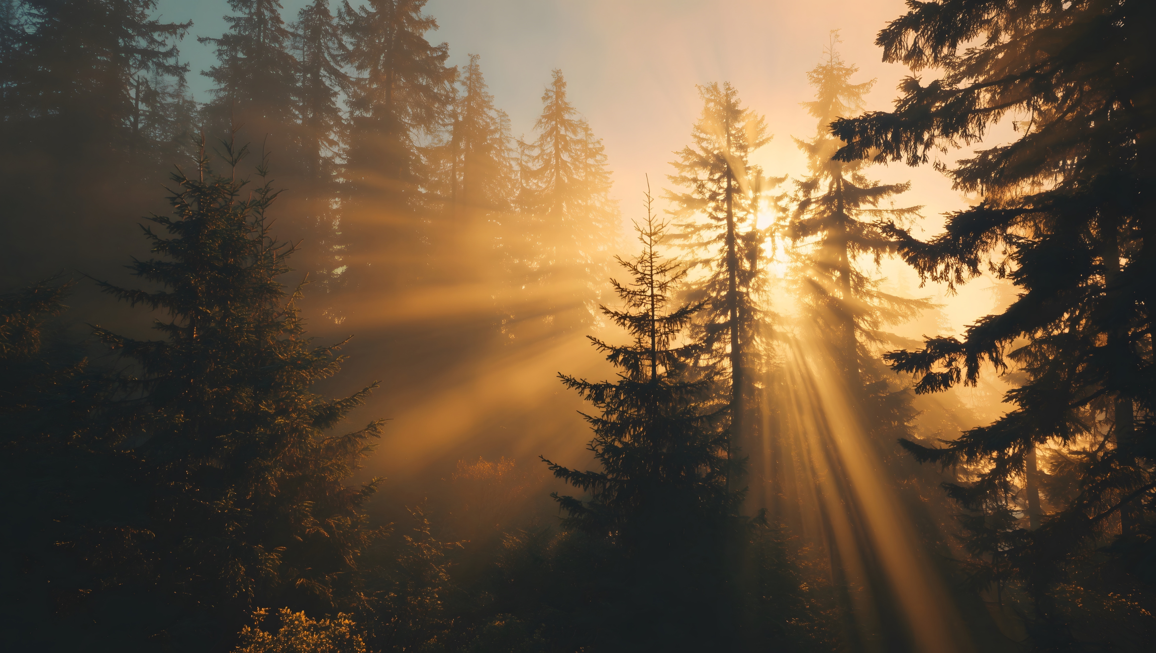 RAVEN is Hiring a Campaigns Director