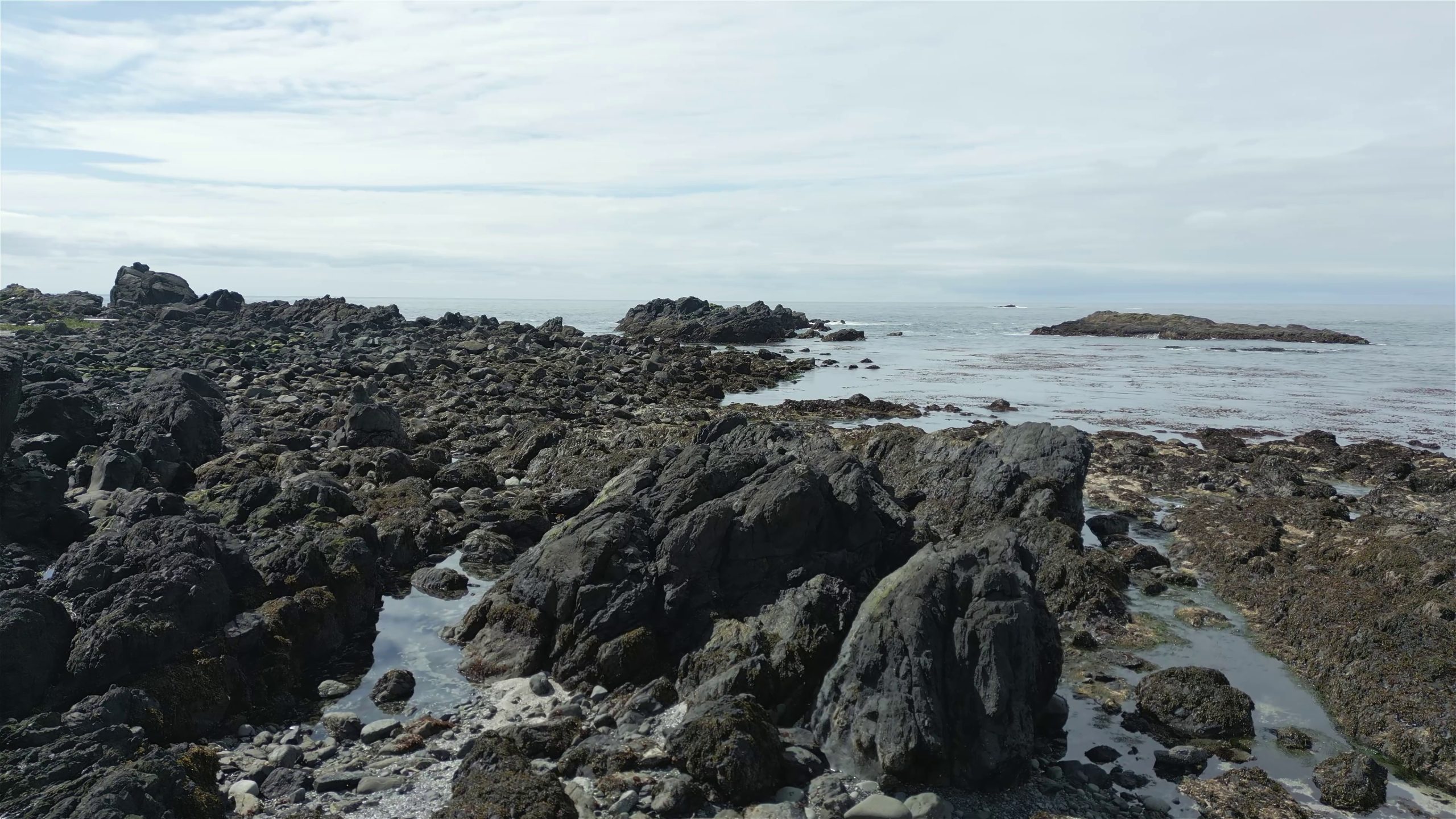 RAVEN is Hiring an Administrative Assistant