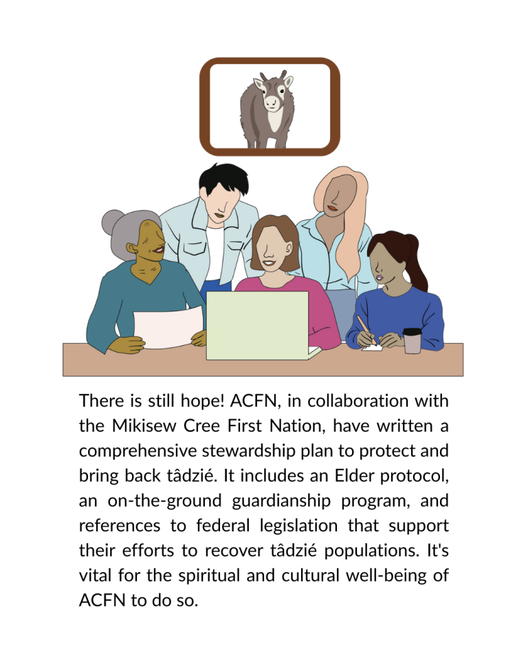 Acfn Athabasca Chipewyan First Nation - Raven Trust